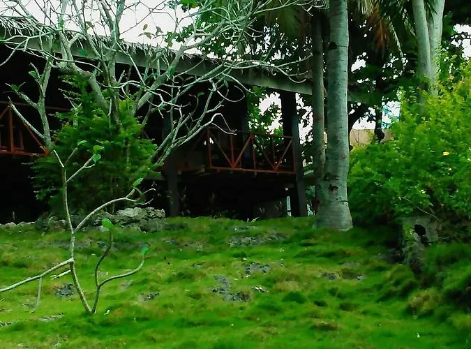 Allba's Moalboal
