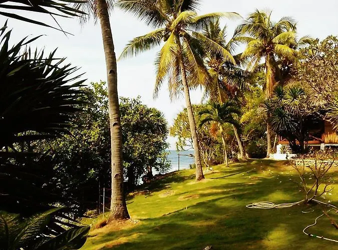 Allba's Moalboal